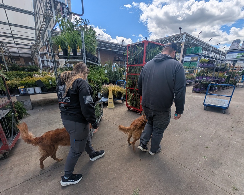 People walking in a heel in a line with their dogs outside in a garden center.
