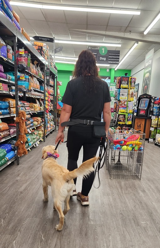A dog trainer wearing a treat pouch holds the leash of a tail wagging golden retriever. They are walking down an aisle filled with dog food, dog toys, and other pet supplies.